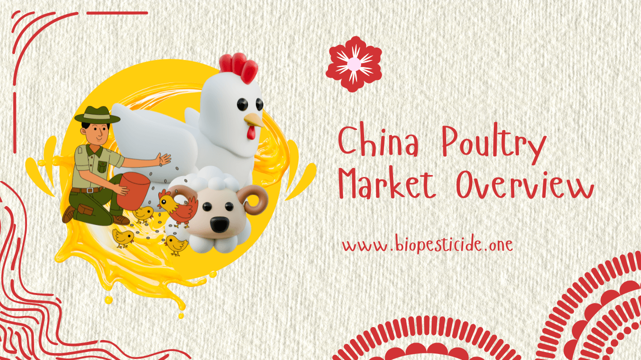 China Poultry Market Overview
