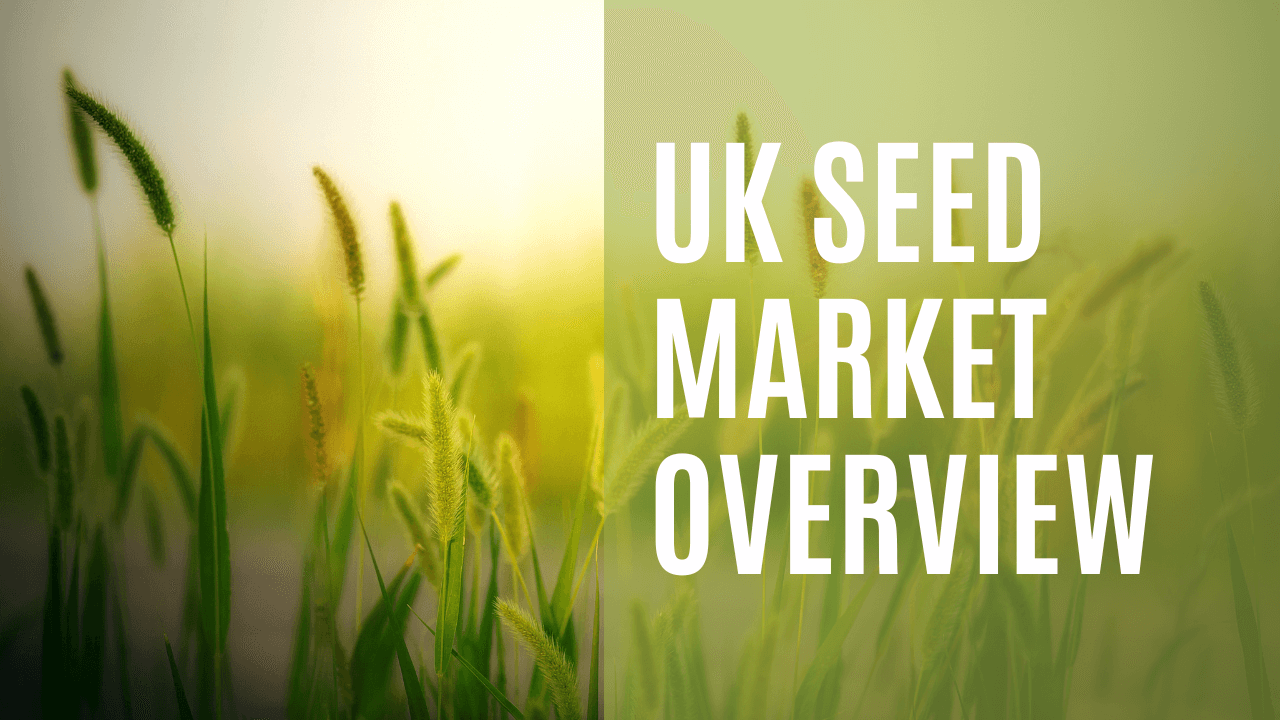 USA Seed Market 2025: Trends, Growth, and Opportunities
