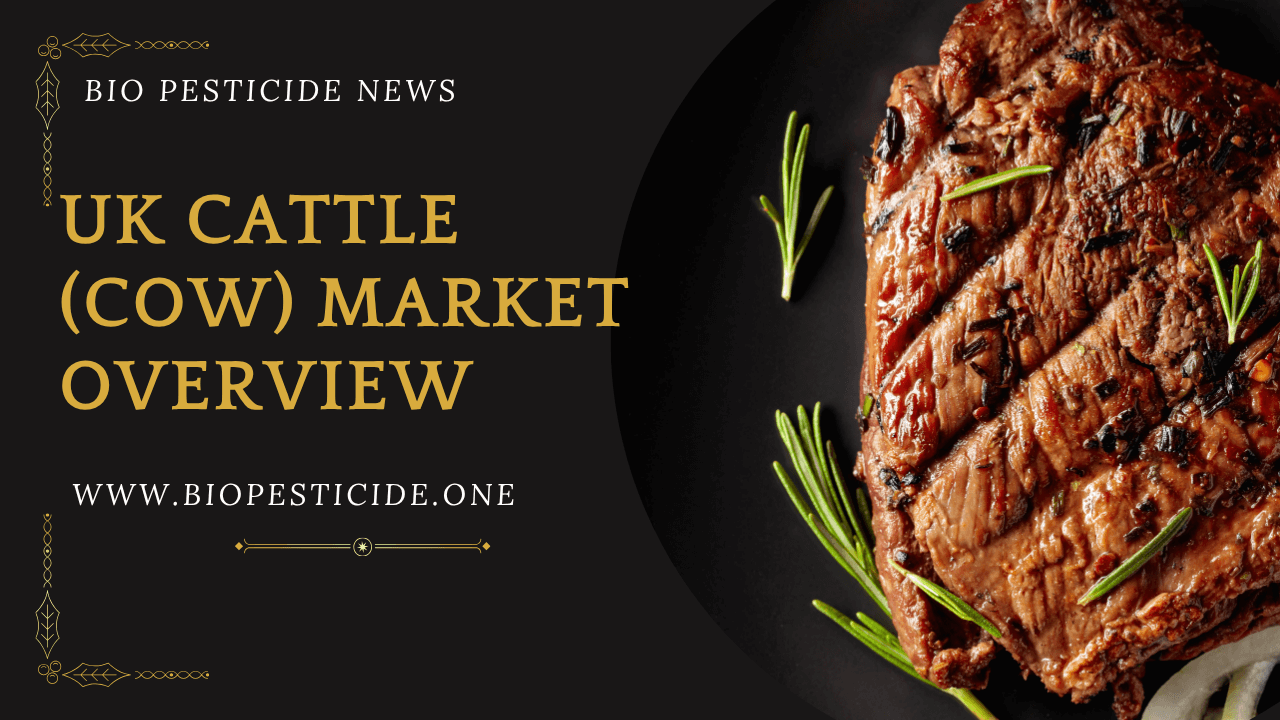 UK Cattle (Cow) Market Overview