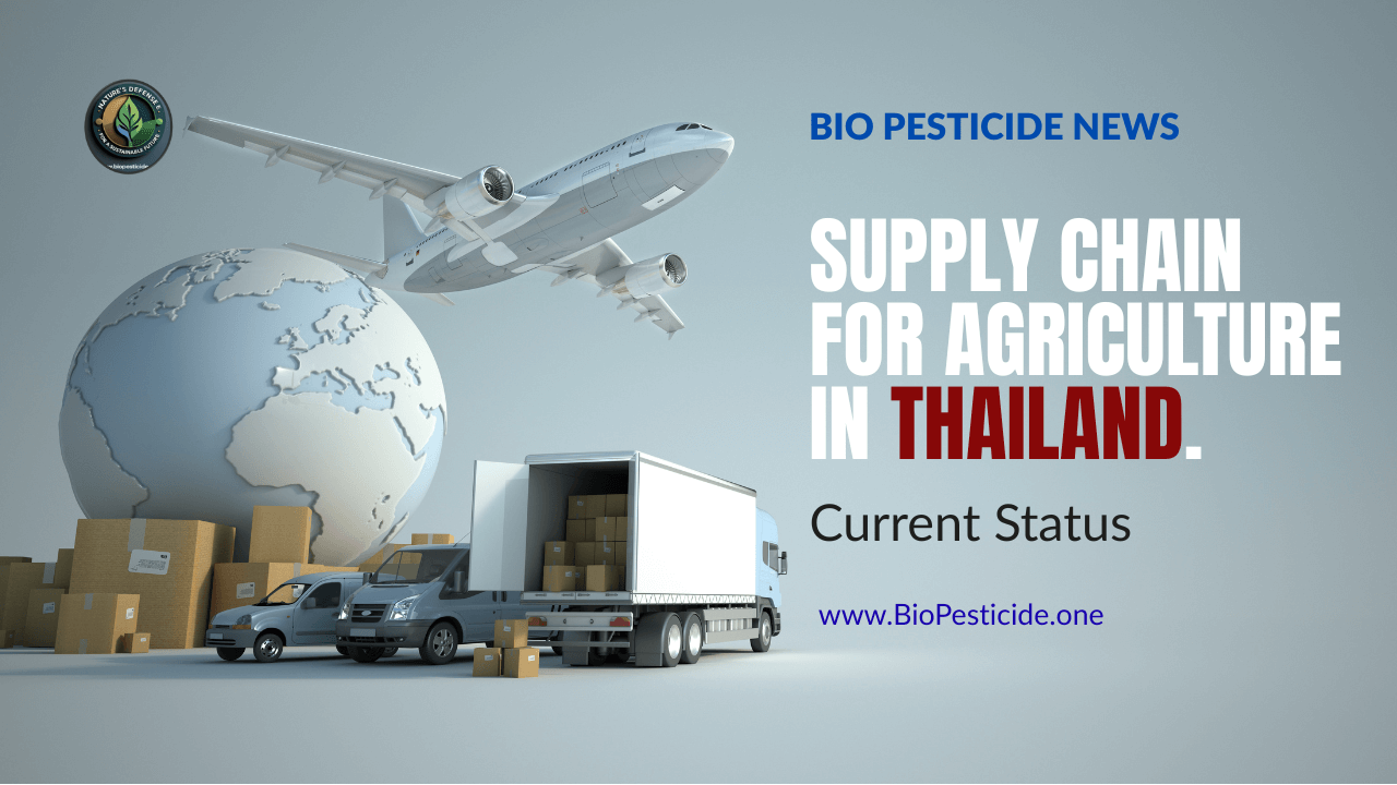 Supply Chain for Agriculture in Thailand — Current Status