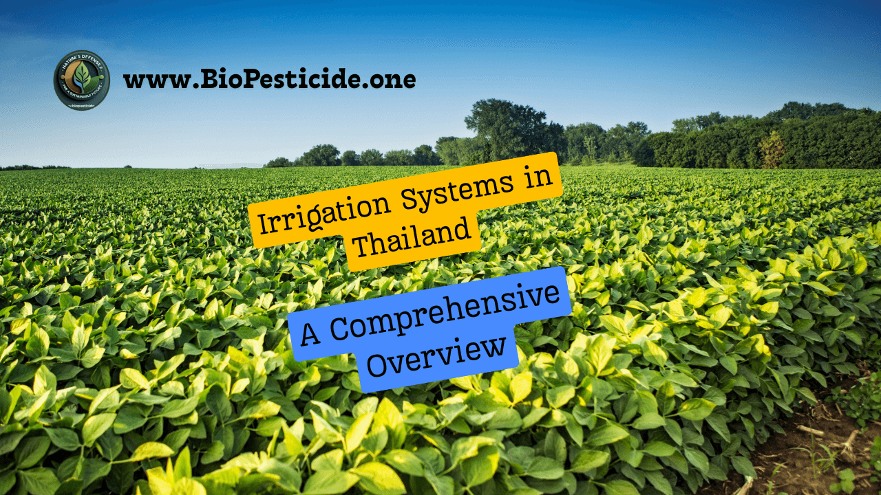 Irrigation Systems in Thailand: A Comprehensive Overview